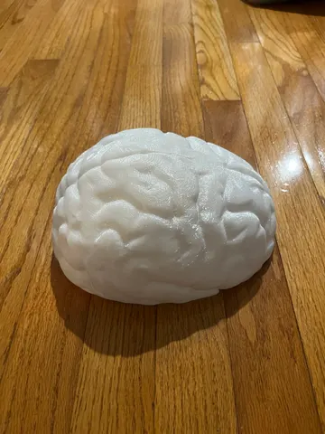 Work by Custom Prints 3d Printing